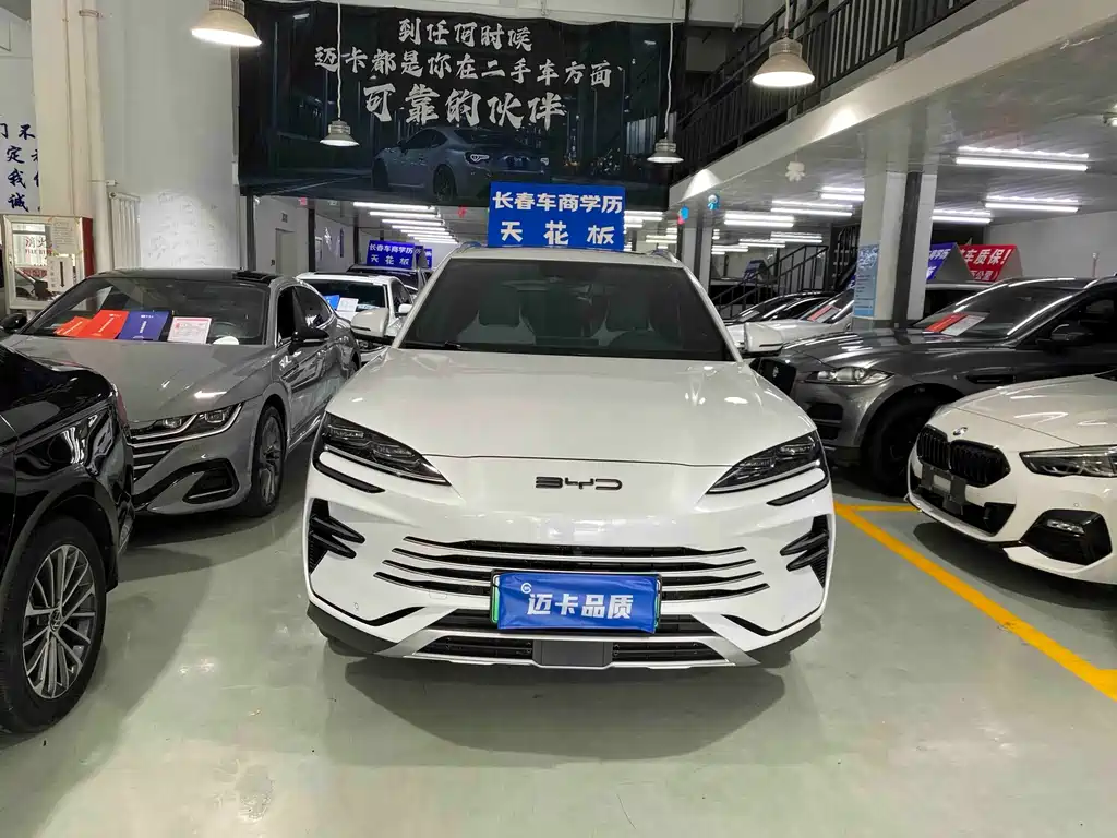 BYD PLUS New Energy — фото 2