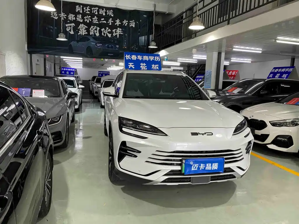BYD PLUS New Energy — фото 3