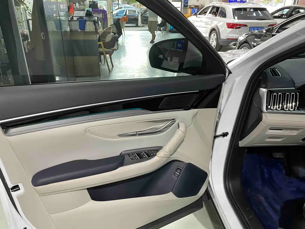 BYD PLUS New Energy — фото 4