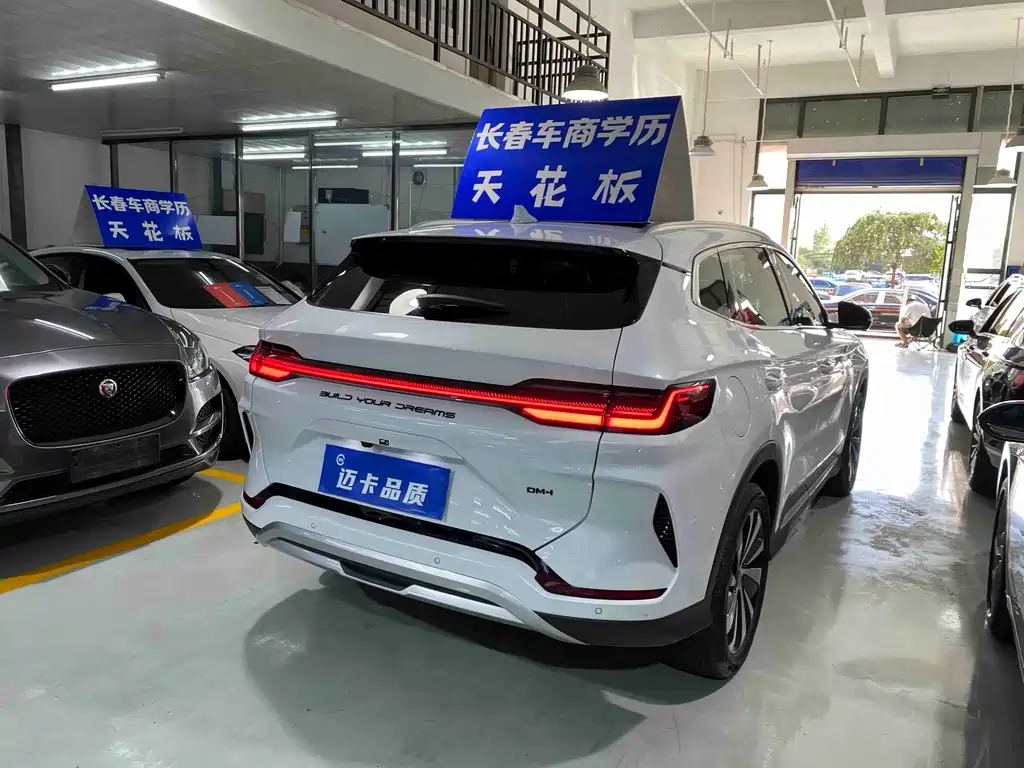 BYD PLUS New Energy — фото 7