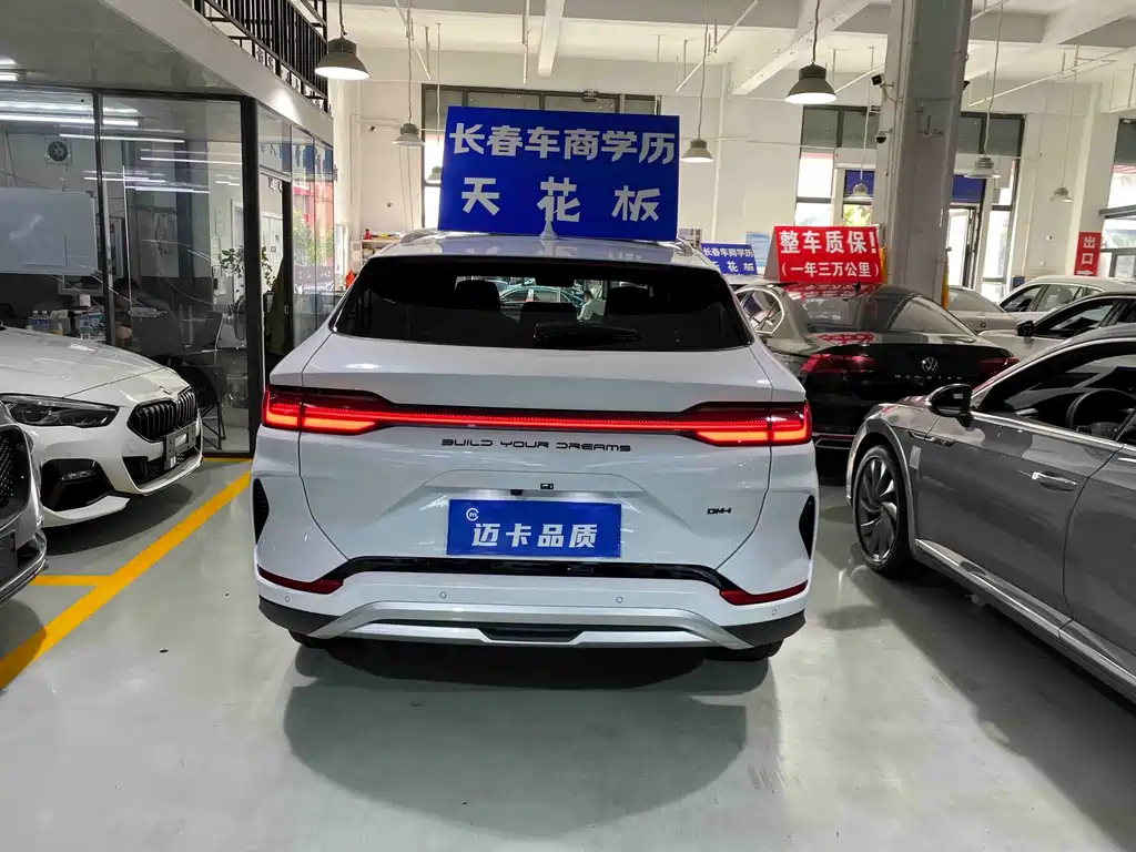 BYD PLUS New Energy — фото 8
