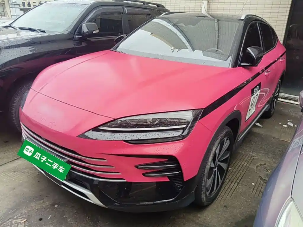 BYD PLUS New Energy — фото 2