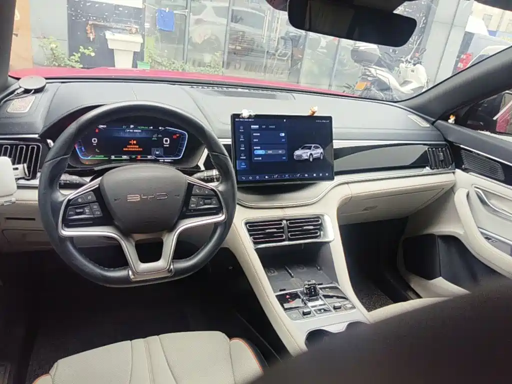 BYD PLUS New Energy — фото 10