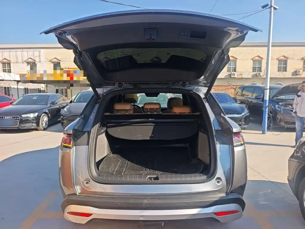 BYD L DM-i — фото 19