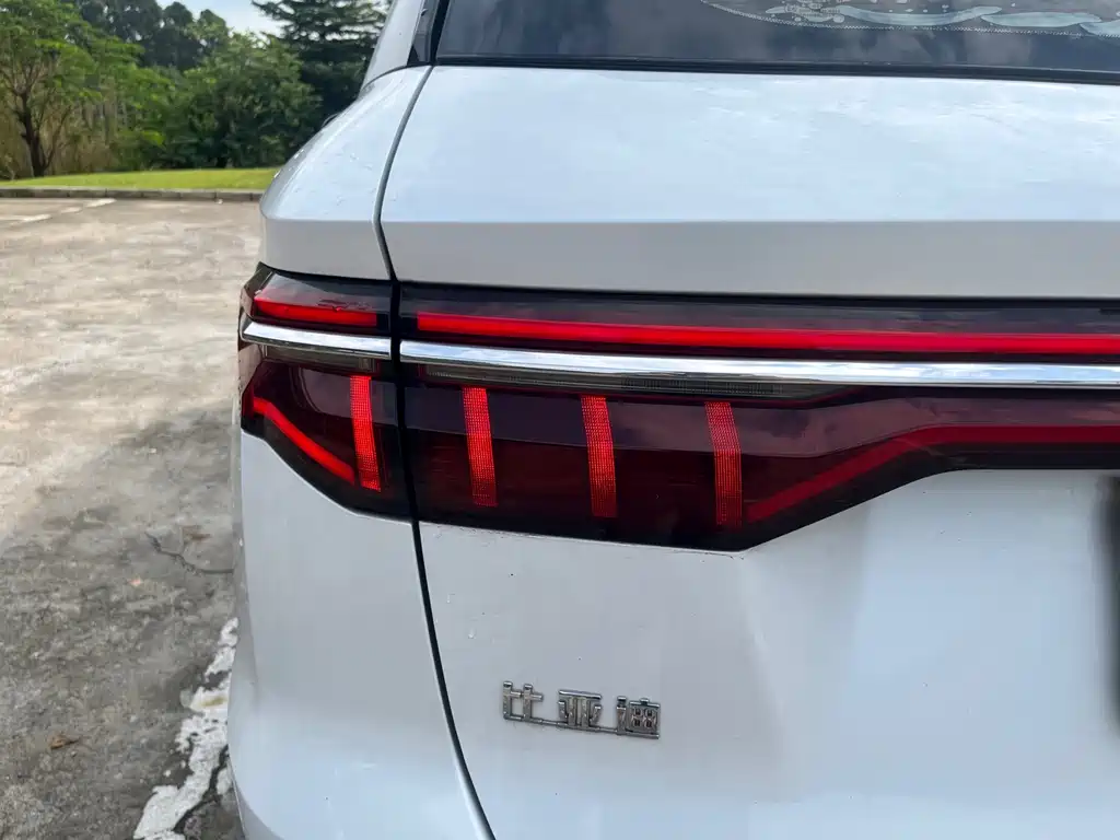 BYD Pro — фото 10