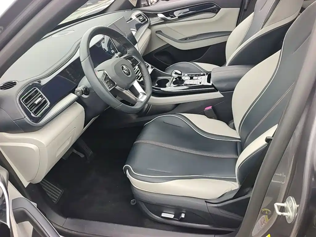 BYD Qin PLUS — фото 15