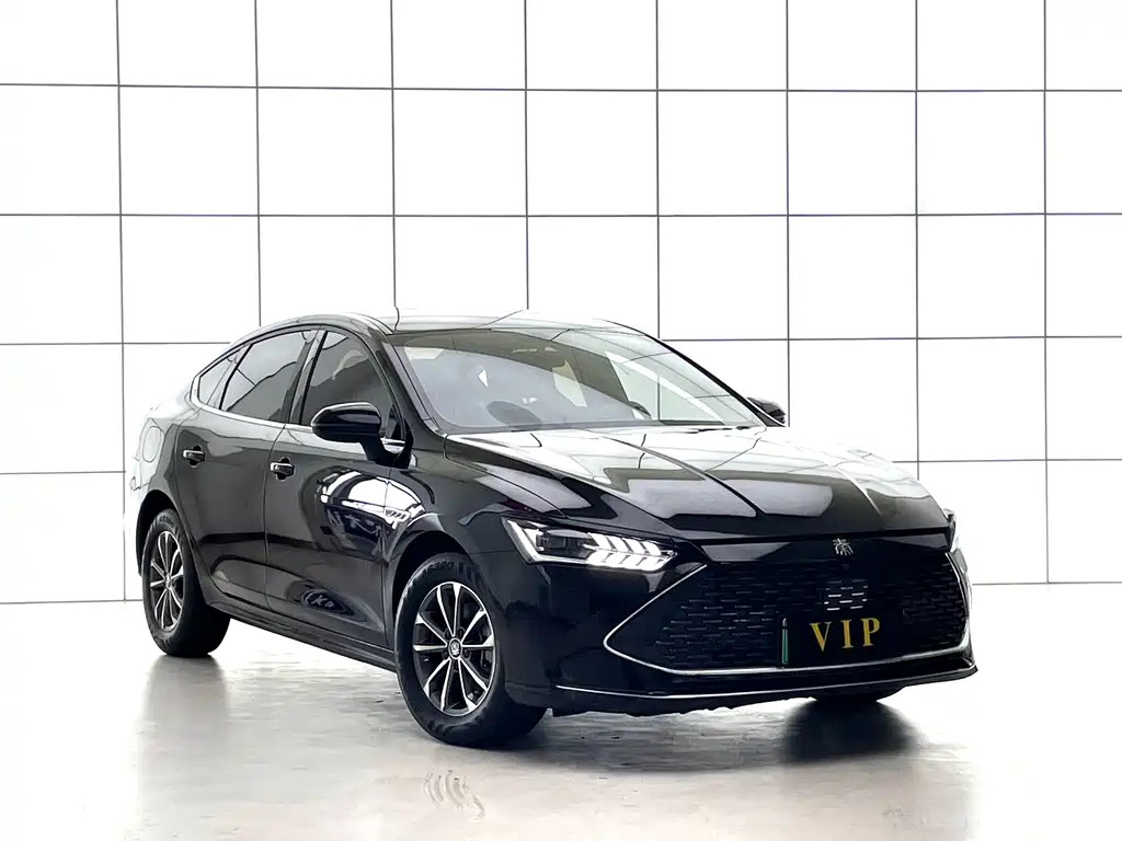 BYD Qin PLUS — фото 3