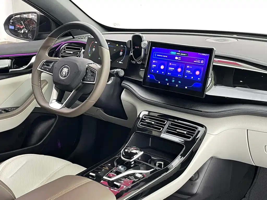 BYD Qin PLUS — фото 25
