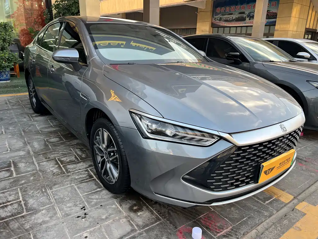 BYD Qin PLUS — фото 3
