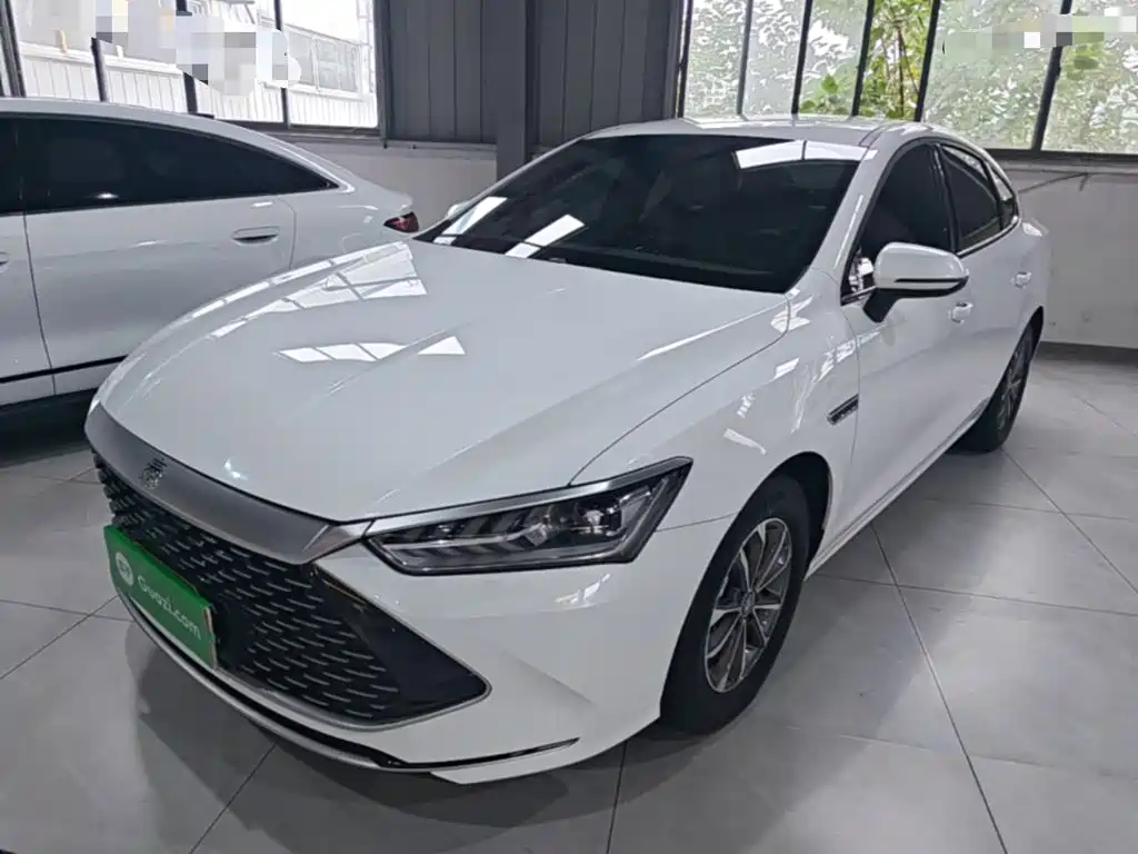 BYD Qin PLUS — фото 2