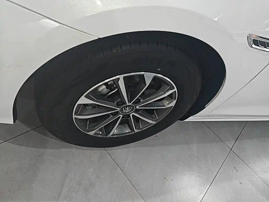 BYD Qin PLUS — фото 23