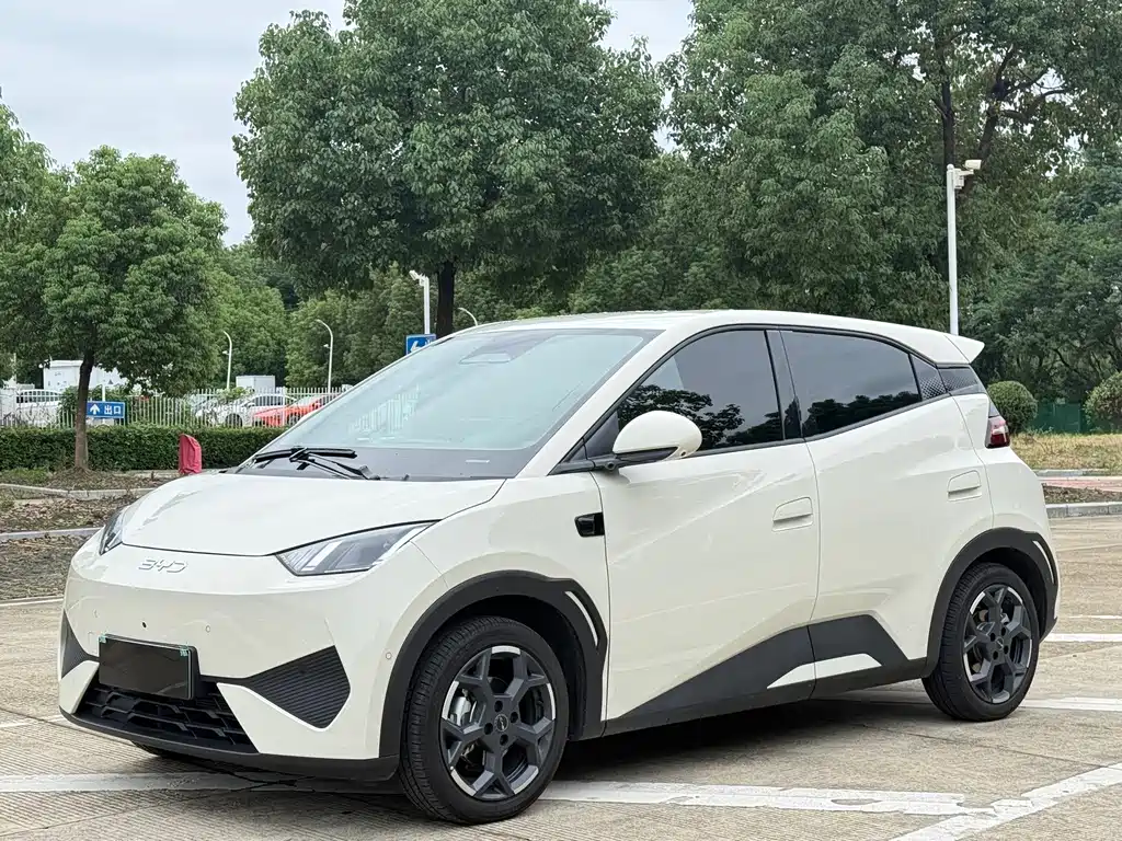 BYD Seagull
