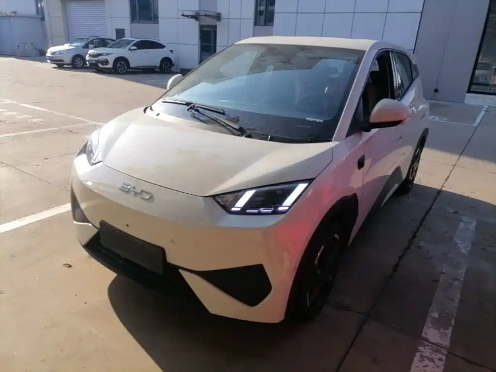 BYD Seagull