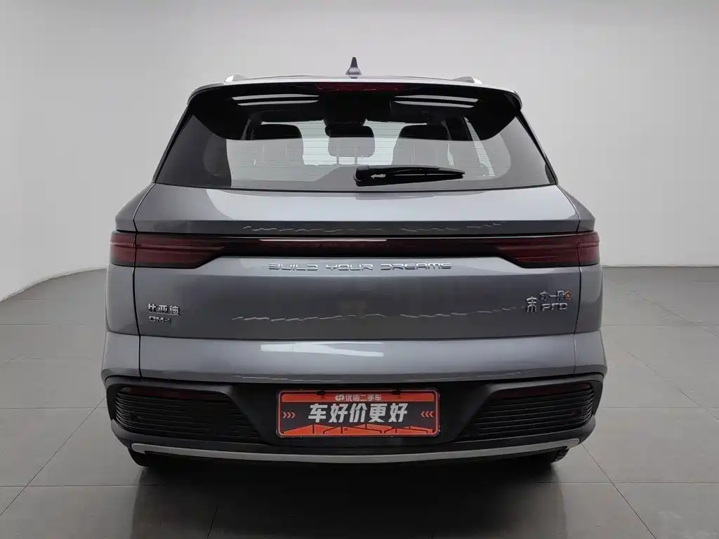 BYD Pro New Energy — фото 4