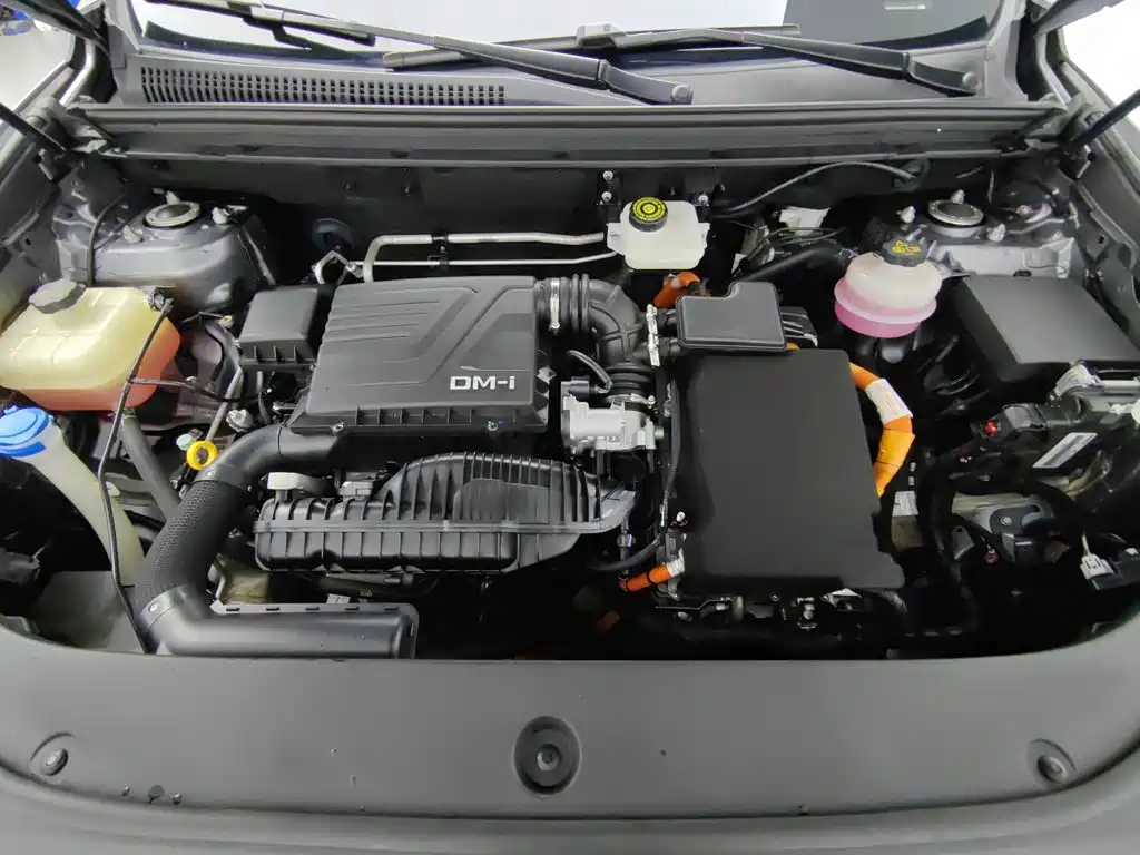 BYD Pro New Energy — фото 6