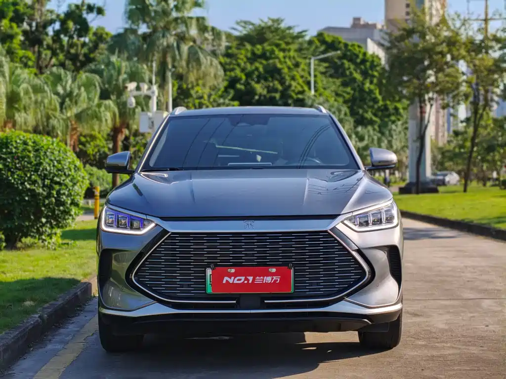 BYD PLUS New Energy — фото 3