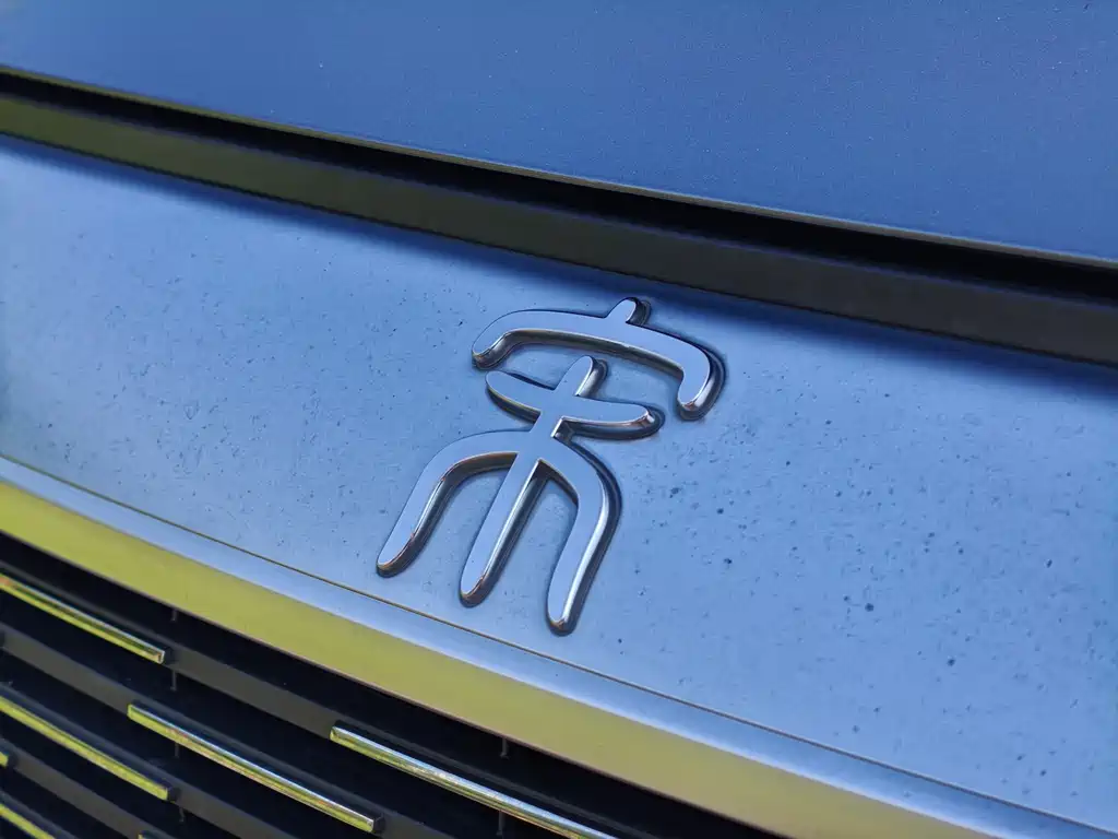 BYD PLUS New Energy — фото 9