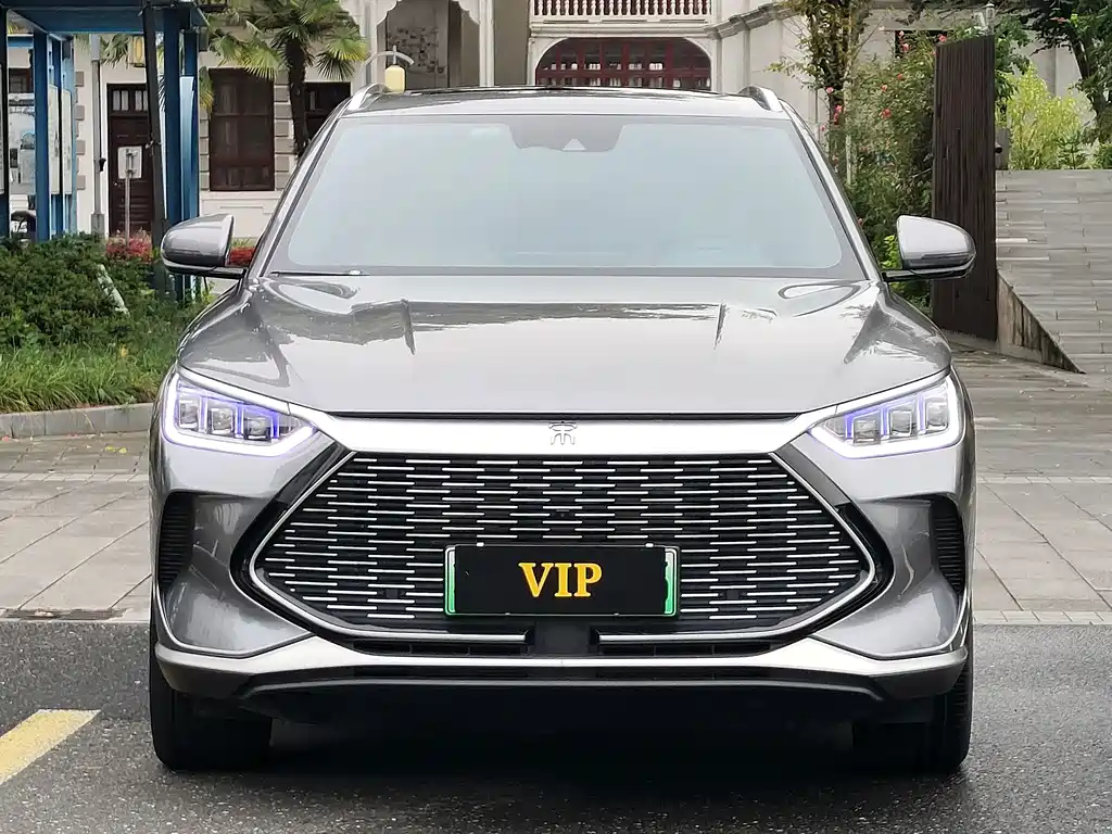 BYD PLUS New Energy — фото 2