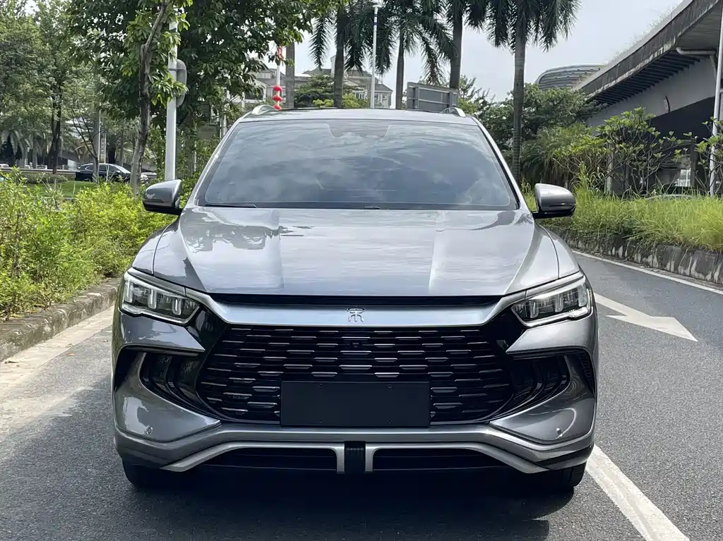 BYD Pro New Energy — фото 2