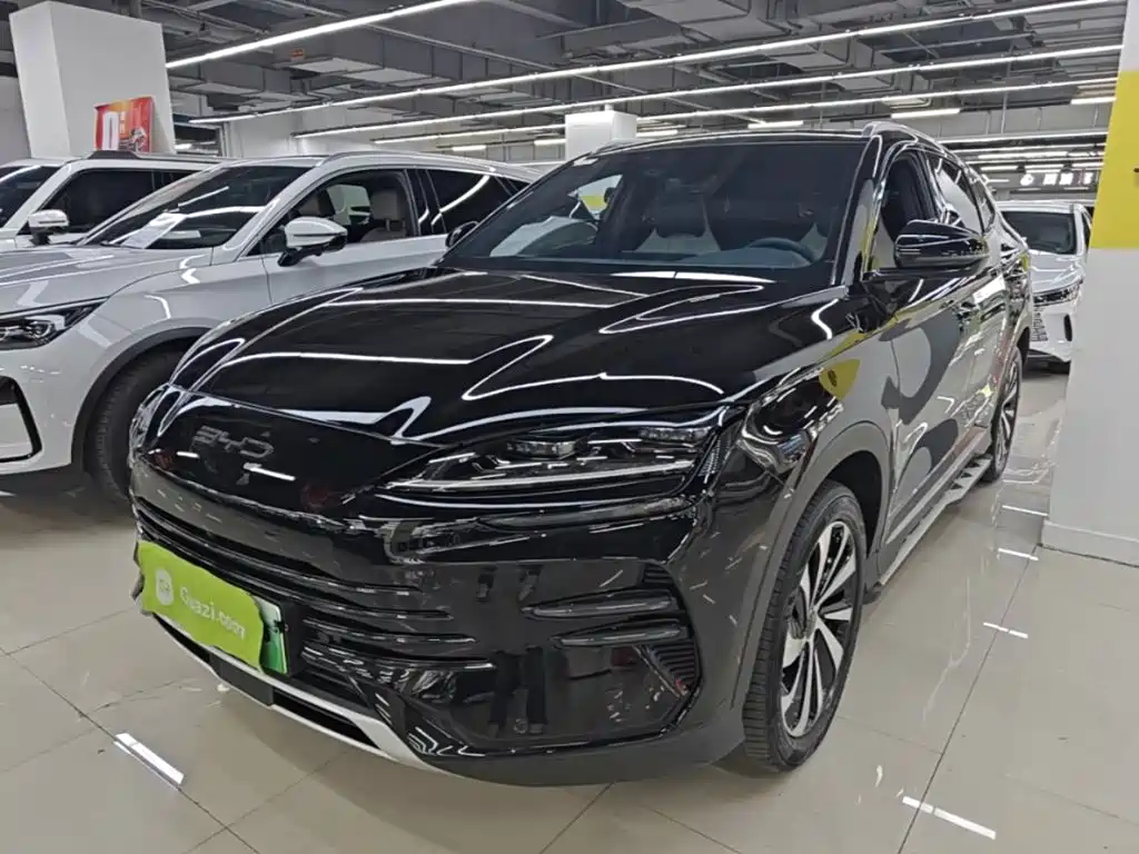 BYD PLUS New Energy — фото 2