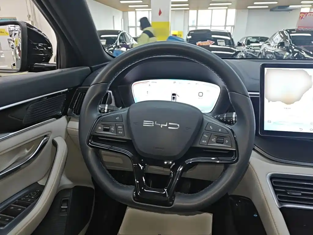 BYD PLUS New Energy — фото 11
