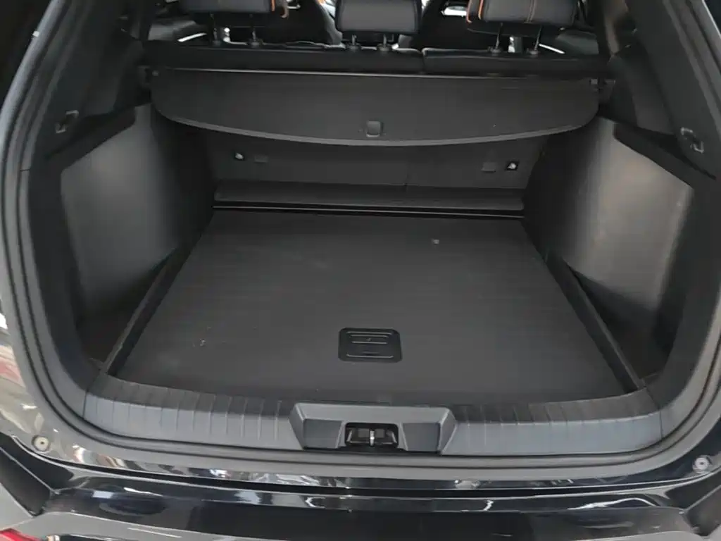 BYD PLUS New Energy — фото 19