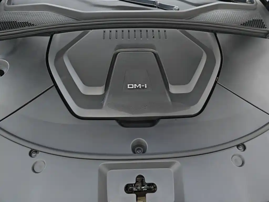 BYD PLUS New Energy — фото 20