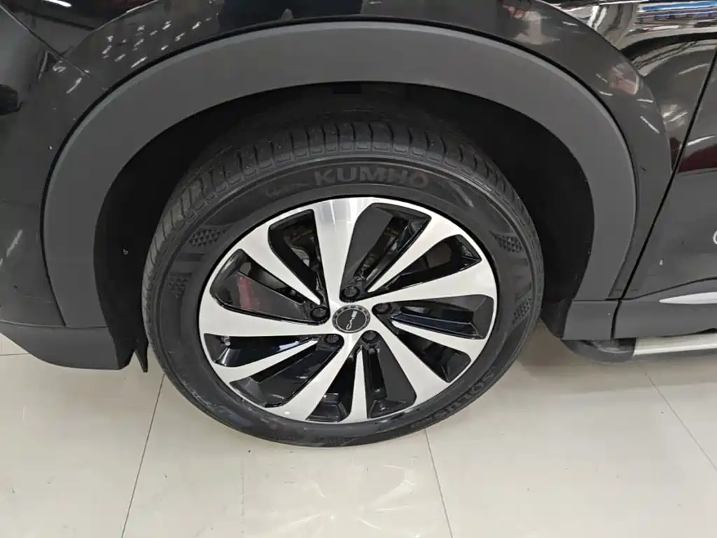 BYD PLUS New Energy — фото 23