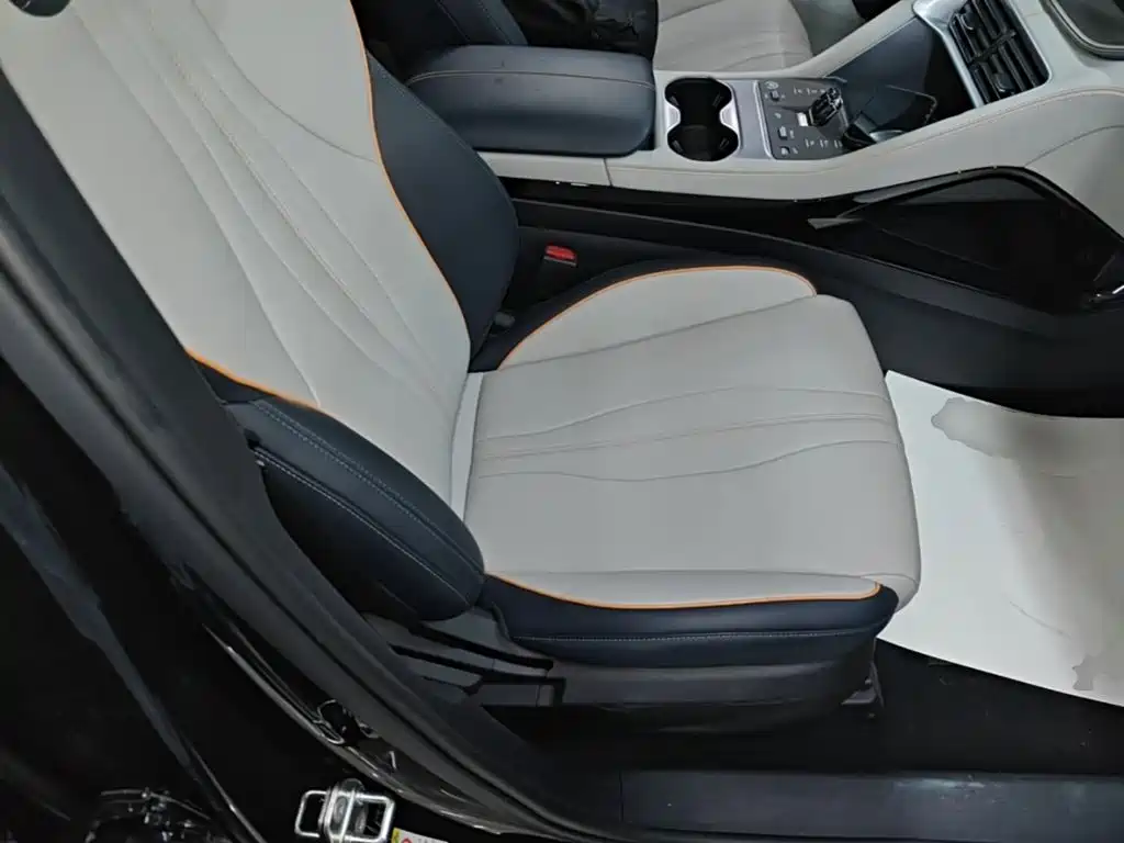 BYD PLUS New Energy — фото 25