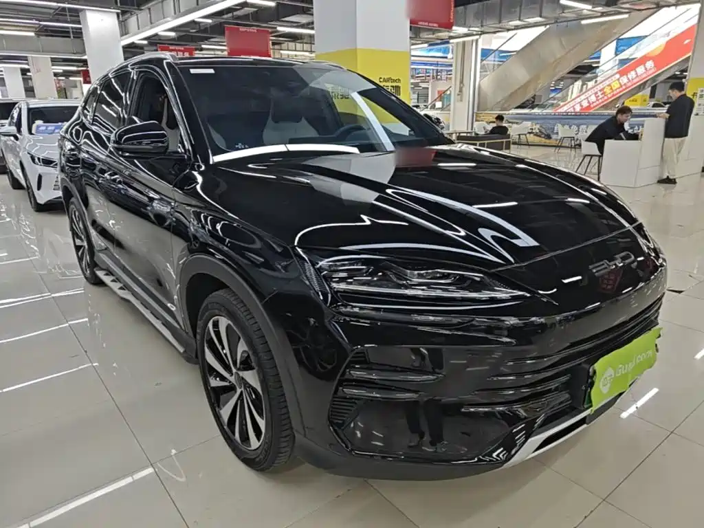 BYD PLUS New Energy — фото 4