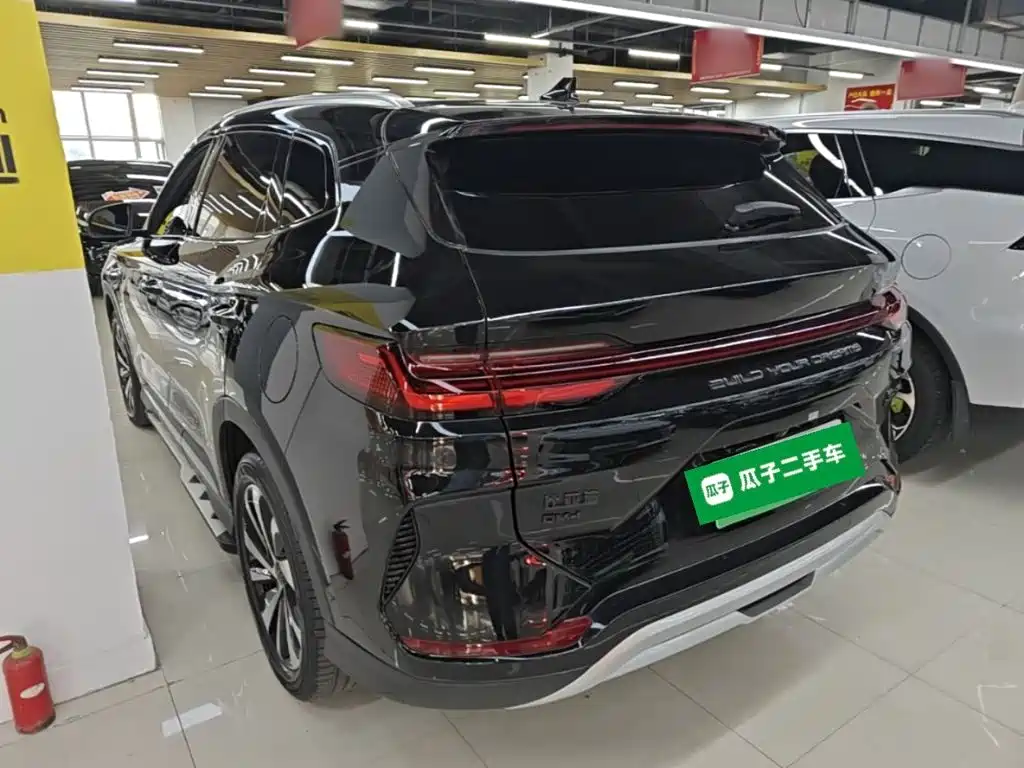 BYD PLUS New Energy — фото 5