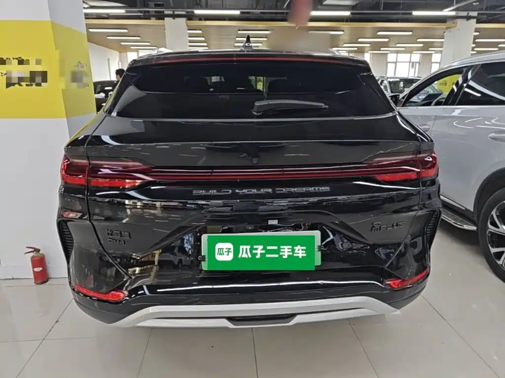 BYD PLUS New Energy — фото 6