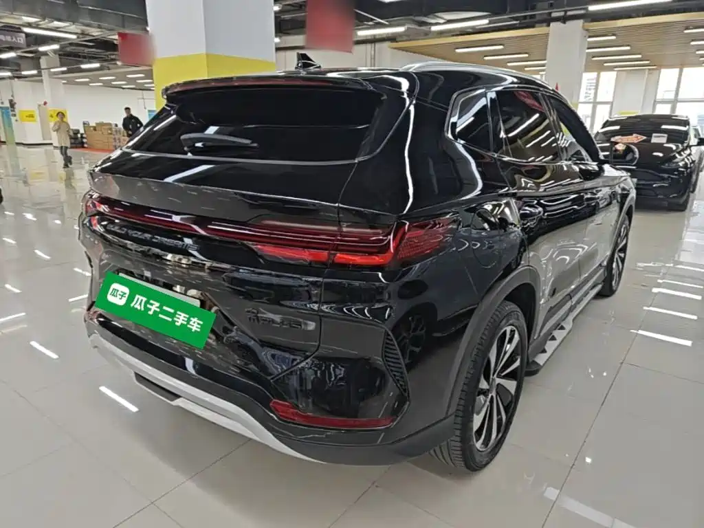 BYD PLUS New Energy — фото 7