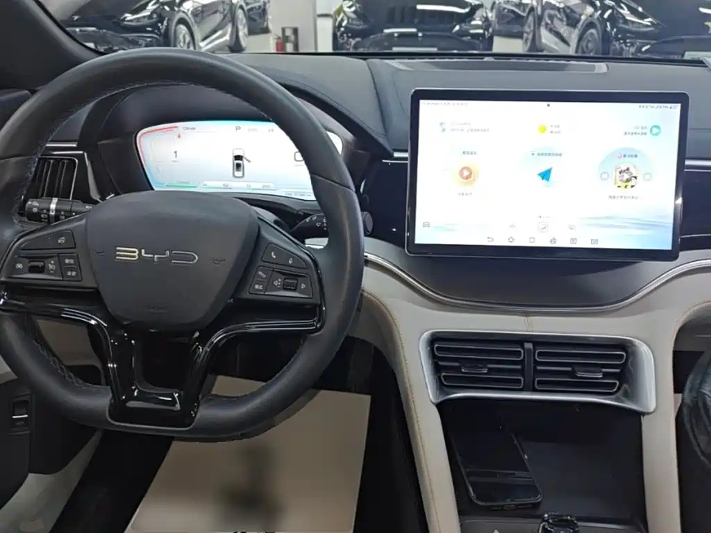 BYD PLUS New Energy — фото 10