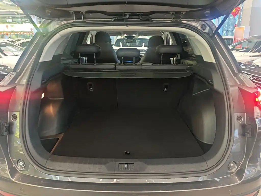 GAC Motor Trumpchi GS4 — фото 19