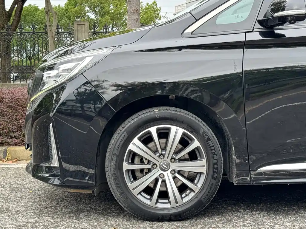 GAC Motor Trumpchi M8 — фото 3