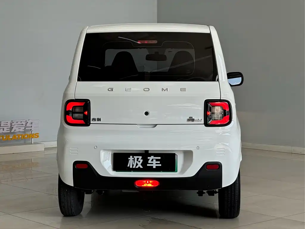Galaxy Panda — фото 7