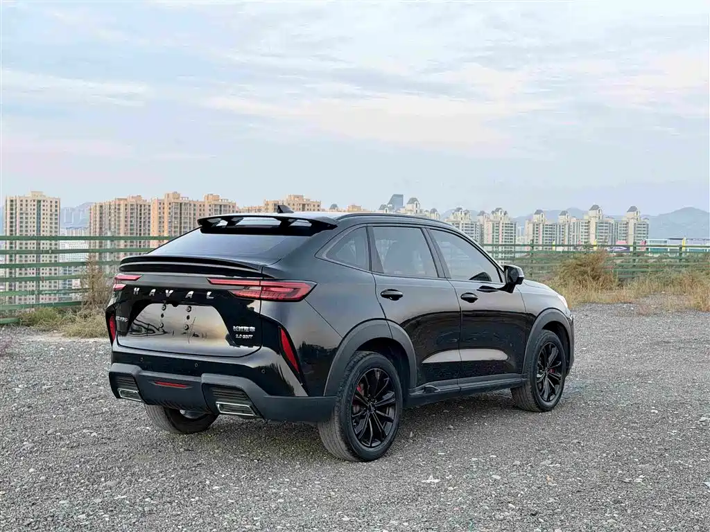 Haval H6S — фото 4