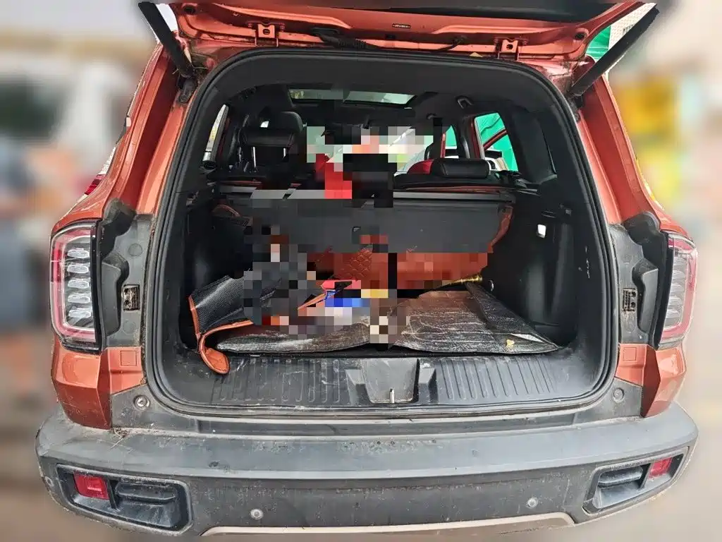 Haval Big Dog — фото 15