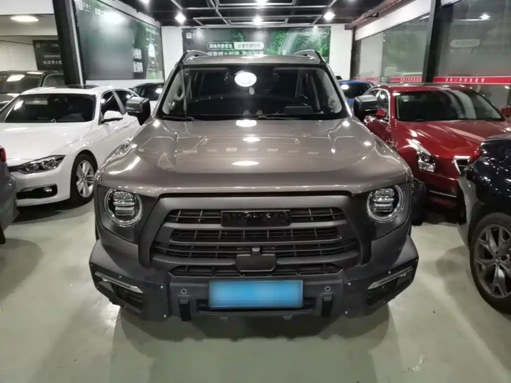 Haval Big Dog — фото 3