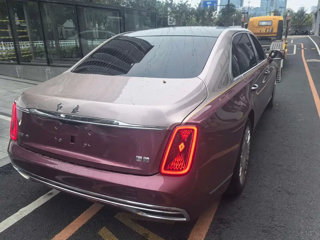 Hongqi Hongqi Golden Sunflower Guoya — фото 3