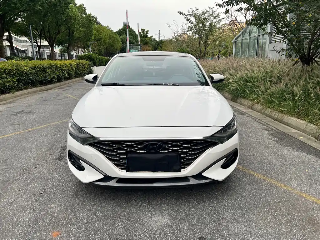 Hyundai Fista — фото 2