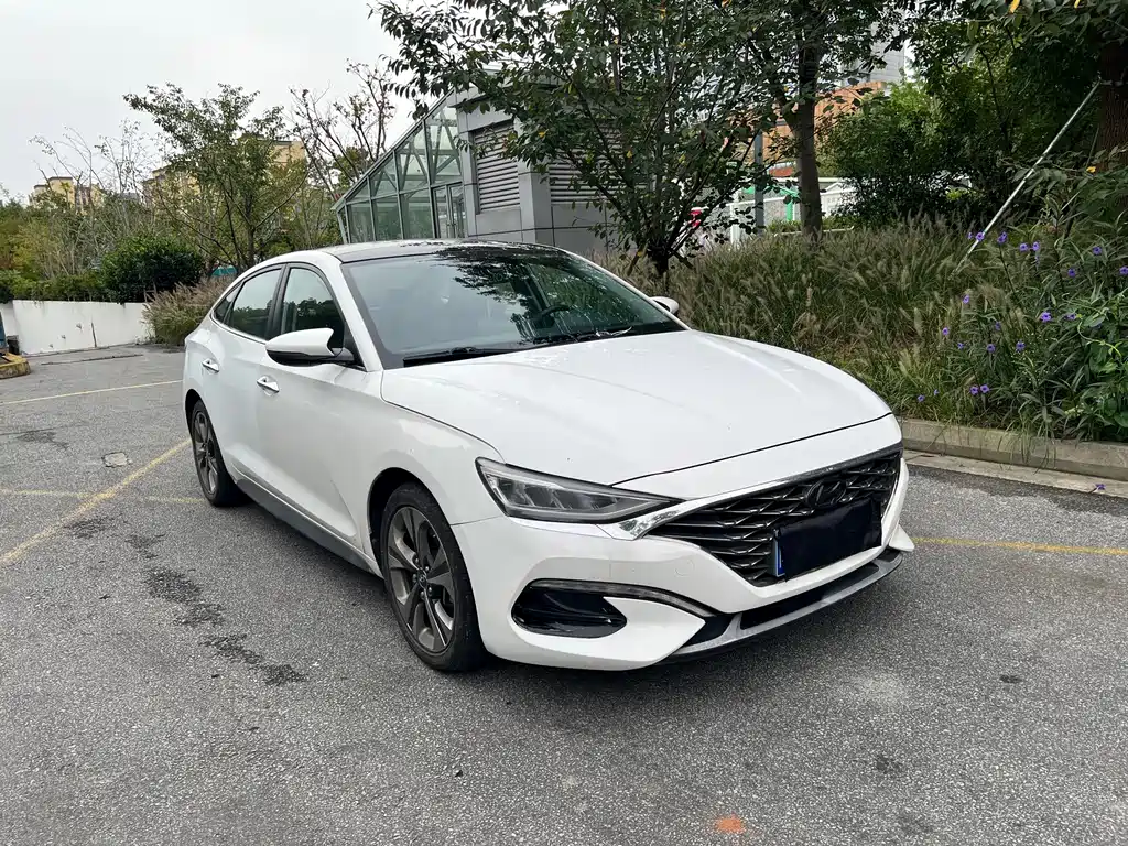 Hyundai Fista — фото 3
