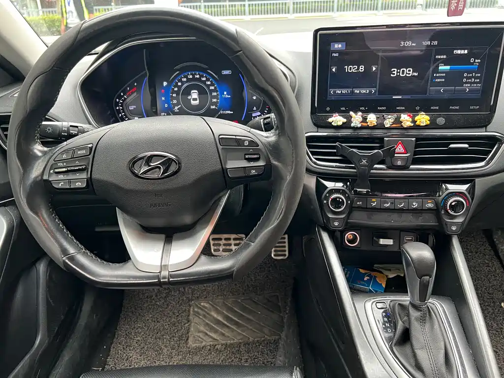 Hyundai Fista — фото 10