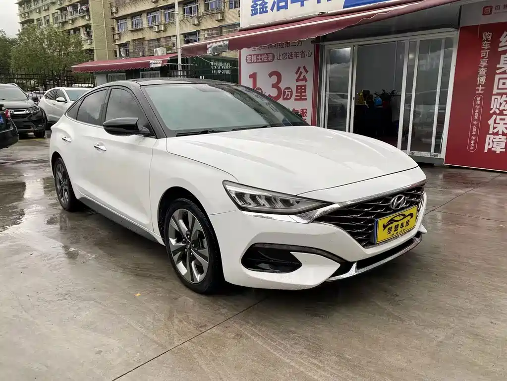 Hyundai Fista — фото 2