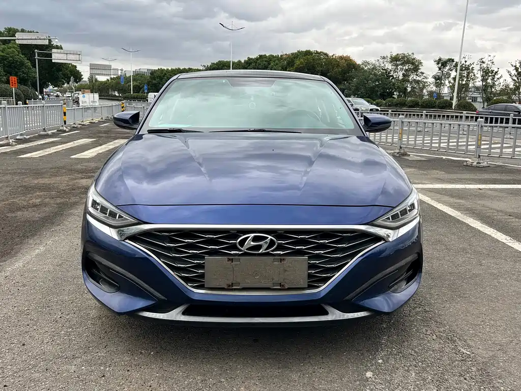 Hyundai Fista — фото 2