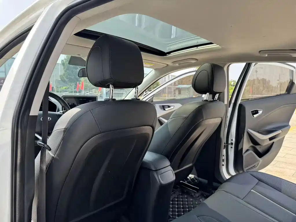Hyundai Fista — фото 15