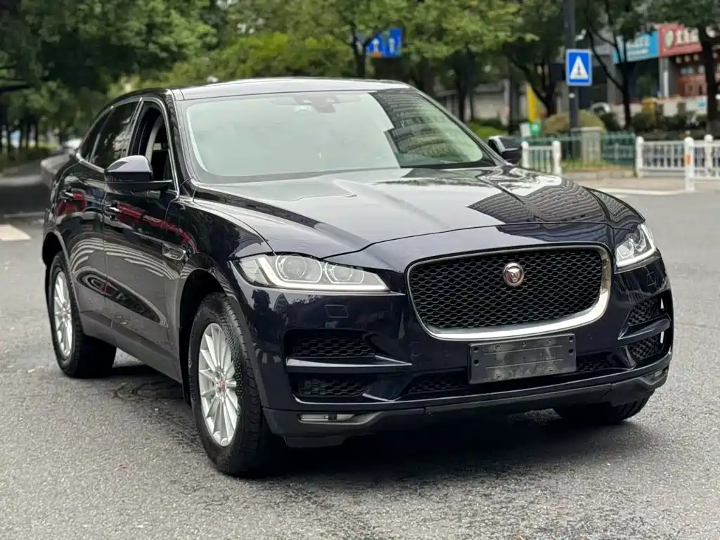 Jaguar F-PACE — фото 6