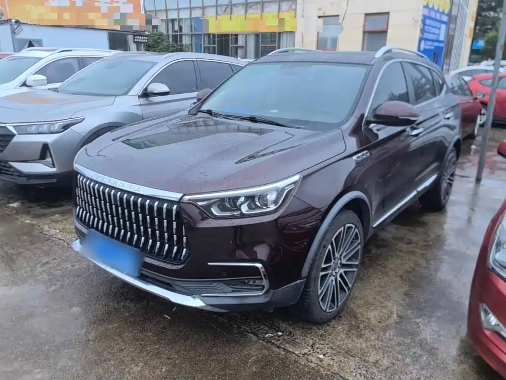 Leopaard Mattu