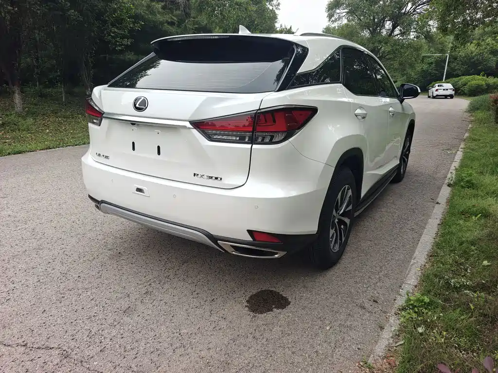 Lexus RX — фото 4